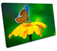 Butterfly Flowers Animals SINGLE TELA parete arte foto stampa