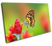 Butterfly Flowers Animals SINGLE TELA parete arte foto stampa