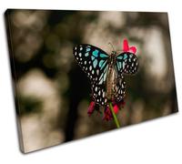Butterfly Flowers Animals SINGLE TELA parete arte foto stampa