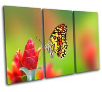 Butterfly Flowers Animals TREBLE TELA parete arte foto stampa