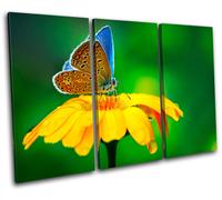 Butterfly Flowers Animals TREBLE TELA parete arte foto stampa