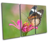 Butterfly Flowers Animals TREBLE TELA parete arte foto stampa