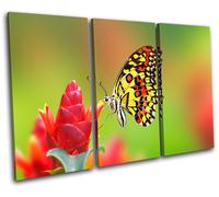 Butterfly Flowers Animals TREBLE TELA parete arte foto stampa
