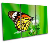 Butterfly Flowers Animals TREBLE TELA parete arte foto stampa