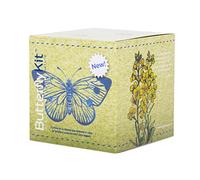 ButterflyKit, Il Kit per Allevare in Casa le farfalle di Cavolaia Maggiore - Esperimento educativo, Kit educativi scientifici Bambini, Idee Regalo Bambino Bambina, Compleanno, Idea Regalo Ragazza