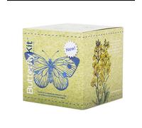 ButterflyKit, Il Kit per Allevare in Casa le farfalle di Cavolaia Maggiore - Esperimento educativo, Kit educativi scientifici Bambini, Idee Regalo Bambino Bambina (KIT CON BRUCHI)