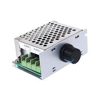 Buwei AC Input 220V DC Output 10-210V PWM 220V DC Brush Motor Speed Controller