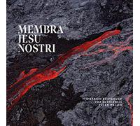 Buxtehude/ Vox Scaniensis - Buxtehude: Membra Jesu Nostri