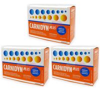 BUYFARMA PROMO PACK - 3X Carnidyn Plus Gusto Arancia, in Polvere - 60 Bustine +