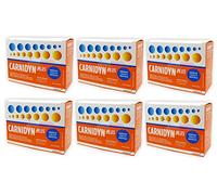 BUYFARMA PROMO PACK - 6X Carnidyn Plus Gusto Arancia - 120 Bustine + OMAGGIO A SORPRESA…