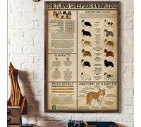 Buywell Targa in metallo vintage, decorazione da parete con cane pastore Shetland Sheepdog Knowledge Anatomy of A Sheltie, poster da parete per casa, cucina, bar, pub, club, caffetteria, 20 x 30 cm