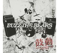 BUZZ THE BEARS - KODO