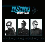 Sonics In The Soul 12"" Vinyl Edition - Buzzcocks (Vinile)