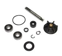 BUZZETTI Kit Reparation Pompe A EAU Scoot Adaptable Piaggio 50 Nrg-GILERA 50 Runner, Dna (Kit)