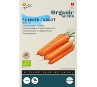 Buzzy Seeds 92935 Carote estive Nantes 2 (BIO semi di carota)