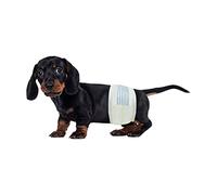 BV Fasciature per cani maschi, piccoli, 50 pannolini per cani maschi, usa e getta per cuccioli