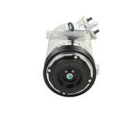 BV PSH 090.505.024.050 Compressore aria condizionata