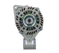 BV PSH 165.587.100.130 Alternatore