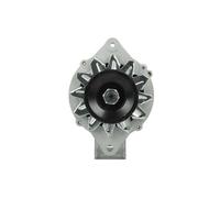 BV PSH 165.811.070.080 Alternatore