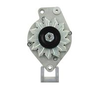 BV PSH 305.024.065.010 Alternatore