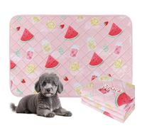 BVAGSS 2 Pezzi Tappetini Assorbenti per Cani, Tappeti Lavabili Riutilizzabili, Antiscivolo, Alta Assorbenza Addestramento traversine per cani XH081 (60x45cm,Watermelon)