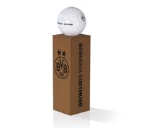 BVB Borussia Dortmund Colonne decorative LED Decorazione Giardino Illuminazione [EEK: no]