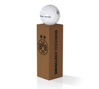 BVB Borussia Dortmund Colonne decorative LED Decorazione Giardino Illuminazione [EEK: None]