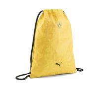 BVB ESS Sacca da palestra