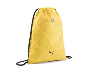 BVB ESS Sacca da palestra