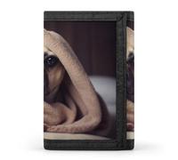 BVKWNTSA Elegante e durevole cane in una coperta stampato Tri-fold portafoglio, multi-card slot, grande capacità e portatile, Cane in una coperta, Taglia unica