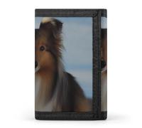 BVKWNTSA Elegante e durevole carino cane Shetland stampato Tri-fold portafoglio, multi-card slot, grande capacità e portatile, Cane Shetland carino, Taglia unica