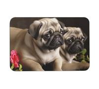 BVKWNTSA Tappetino da bagno - Puppys Pug stampato terra di diatomee tappetino da bagno assorbente ad asciugatura rapida tappeti da bagno adatti sotto la porta, tappetini da bagno per bagno, vasca e