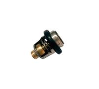 BVNZUFH 17670-94402 Termostato 60ºC for Motori fuoribordo marini 9,9-70HP 17670-94400 17670-94404 17670-94403 17670-94401 5031758 (Pezzi di Ricambio)