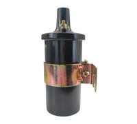BVNZUFH Bobina di accensione 300-8M0079202 for Thunderbolt IV e V V6 V8 Sostituisce 392-7803A4 392-805570A2 392-805570A118-5438