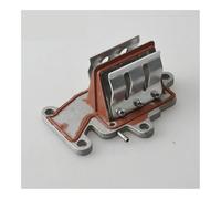 BVNZUFH Il Gruppo lamelle sostituisce 63V-13610-10 63W-13610-00 for Motore fuoribordo da 9,9 HP e 15 HP 63V-13610 (Pezzi di Ricambio)