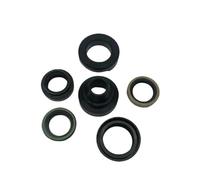 BVNZUFH Kit Guarnizione Scatola Ingranaggi unità Inferiore for 35 40 48 50 HP 2 cilindri 433550 0777551 777551 18-2694 87614