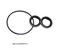 BVNZUFH Kit guarnizioni Scatola Ingranaggi unità Inferiore V4 da 40-75 HP, Guarnizione di Scarico, Guarnizione di riempimento, Guarnizione 330137, 313446, Dado, coppiglia 314502