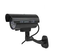 BW - Finta telecamera a circuito chiuso, BW2600