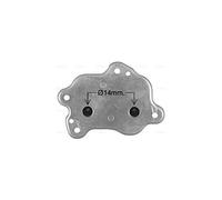 PRASCO BW3595 Radiatore olio motore