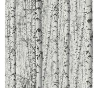 BW51006 - IN Fiore Selvatico Betulla Albero Motivo Grigio Bianco Galerie Parati