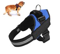 BWANGIAO - Grotta in Acrilico Trasparente per gamberetti, Ideale per acquari Che offrono Un rifugio Sicuro e Una visibilità Chiara.