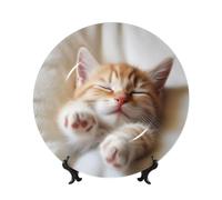 BWLHJKE Kitten Sleeps Piatto decorativo in porcellana Bone China con immagine personalizzata piatti piani in porcellana con espositore, piatto decorativo in ceramica per ornamento da appendere alla