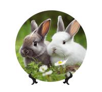 BWLHJKE Piatto decorativo in porcellana Bone China con due piccoli coniglietti con foto, piatti piani personalizzati in porcellana con espositore, piatto decorativo in ceramica per ornamento da