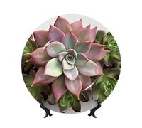 BWLHJKE Succulent Botanical Bone China Piatto decorativo con immagine personalizzata Piatti piani in porcellana con espositore, piatto decorativo in ceramica per ornamento da appendere alla parete