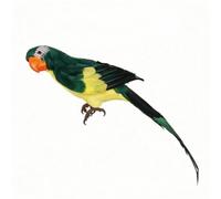BWOFJGWH Pappagallo Artificiale con Posatoio Decorazione Pappagallo Figurina Uccello Realistica con Base Stabile Ramo Materiale Schiuma E Piume Adatto per Tavolo Ufficio Set Fotografico, Verde, 45 Cm