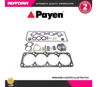 BX631 Guarnizione, Testata (MARCA PAYEN)