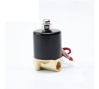 BXCONJUBC Elettrovalvola a solenoide in Ottone normalmente Chiusa DN08 da 1/4" a 24VAC 220VAC 24VDC 12VDC 110VAC(G-110VAC)
