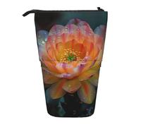 Bxzpzplj Astuccio telescopico disegnato a mano con teiere e tazze stampate, astuccio telescopico per cancelleria, trucco, borsa per adolescenti, materiale scolastico, Fiore floreale di cactus, Taglia