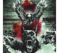 By A Storm Beware Of The Underdogs (Vinyl LP)