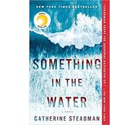 [By Catherine Steadman] Something in the Water: A Novel-[Paperback] Best selling books for -|Psychological Fiction (Books)|
